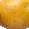 potato1.8