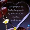 leydymejia72
