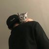 daniel_4fht