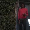 reedigzn19e