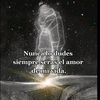 user4450201575226