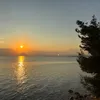 mooree_247