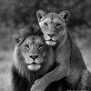 leylam__361