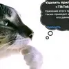 anti_fyrre
