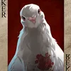 zarubaha