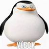 bozo8425