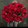 hafsa.hafsa765