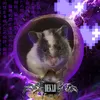 deklo_2