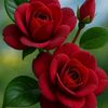 oum.yasmine241