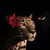 lix_585
