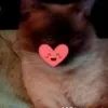 rita.sousa4341
