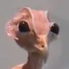 sova.vyplena