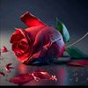salmin.younes4