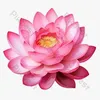 user9210320097812