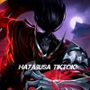 hayabusa_tiktok285
