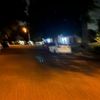 randomratspams8