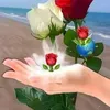 arin.taqana11