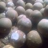 yusuf_3479326028526