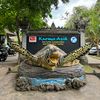kurmaasihturtle1997