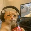 animelllismylife