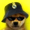 juan.h.p