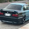 shera_almani2