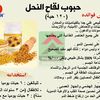 umm_saif8