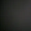 psiary.1