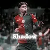 shadow.am45