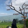 marshaptri_08