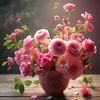 user6920090500520