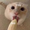 __..__56.75__..__