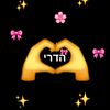 hadar9546