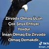 02qaqa41