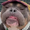 bogyoxbaboca
