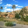 kheyrdin8