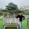 dophongbonsai88