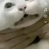 hidingdeptrai2