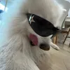 vncvideos_engracados