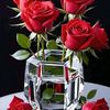 user8515015613930
