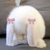 maple_nue0