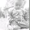 shamsirobe