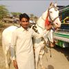 syed.haider011