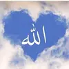 mazen.shosha4