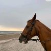 mashari.mohammad6