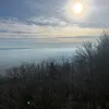 virtualrealm29