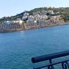 d_y_l_a_n_____