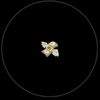 elkin_villamar.20
