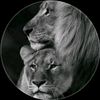 anisa.mohamed83