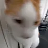 f1ngafter4ll